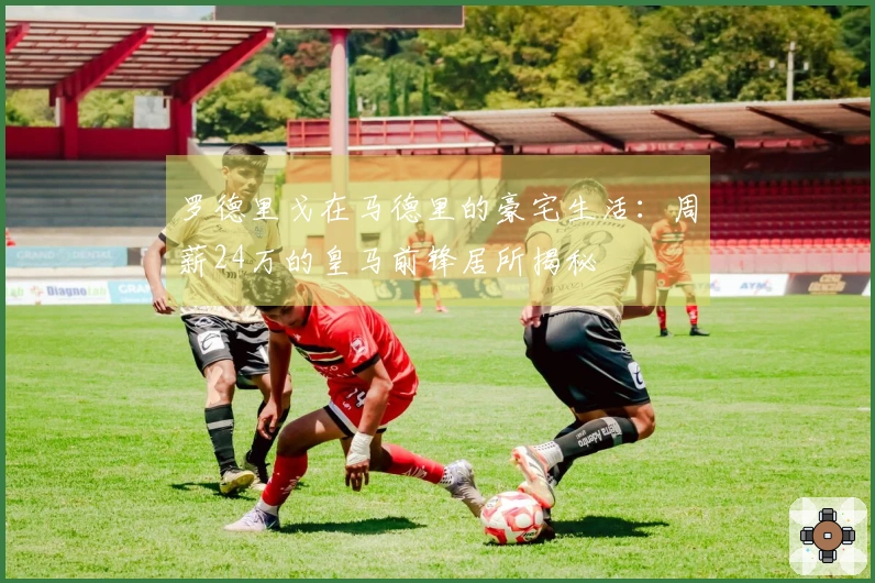 罗德里戈在马德里的豪宅生活：周薪24万的皇马前锋居所揭秘